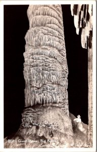 Real Photo Postcard Giant Dome Big Room Carlsbad Cavern National Park New Mexico