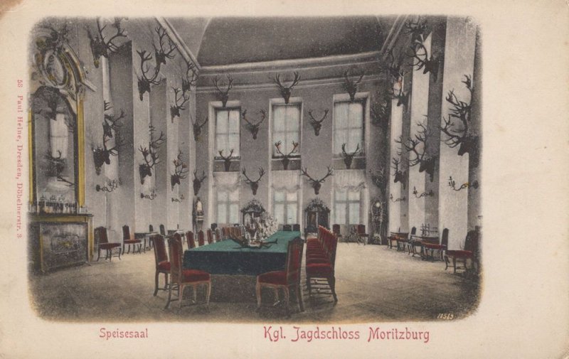 Jagdschloss Moritzburg German Deer Hunting Room Old Postcard