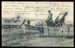 h2475 - QUEBEC CITY Postcard 1906 Calache. Horse & Buggy by Garneau