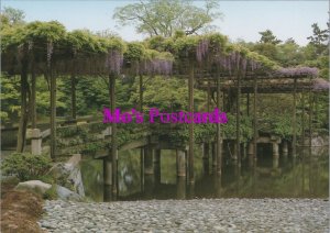 Nature Postcard - Wisteria & Zig Zag Bridge, Sento Palace, Kyoto, Japan RR20390