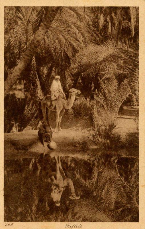 Egypt - Reflection of Travelers at Oasis