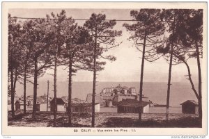 CALVI, France , 00-10s : Vue entre les Pins