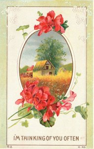 Vintage Postcard Thinking Of You Often Landscape Cosmos Flowers Greetings