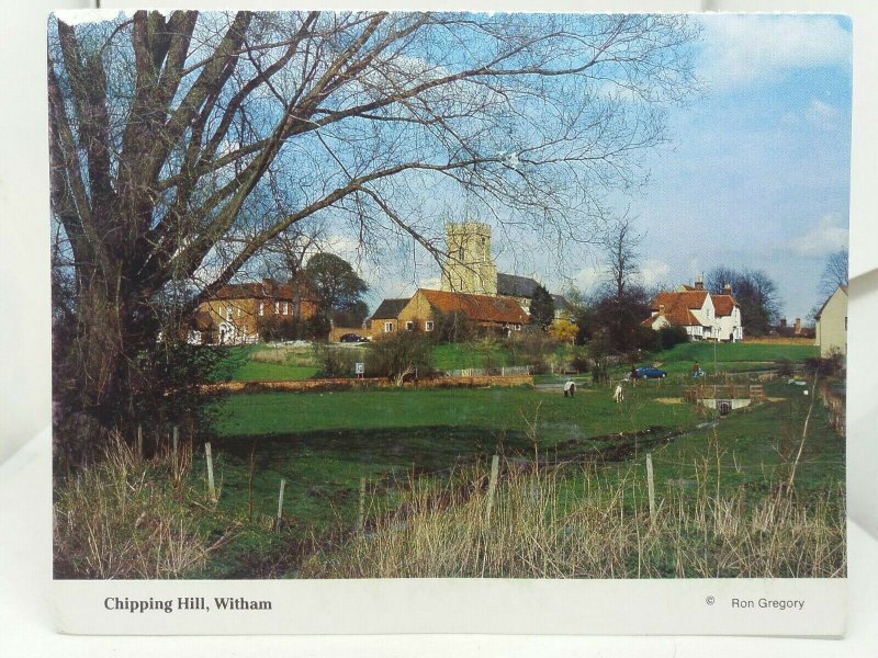 Vintage Postcard Chipping Hill Witham Essex