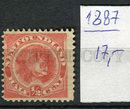 265239 Newfoundland 1887 year No Gum stamp DOG