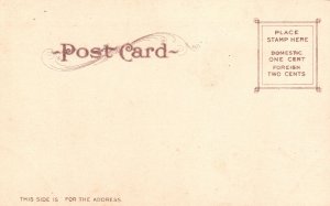 Glacier Falls Shasta Springs California CA Waterfall Vintage Postcard 1900's