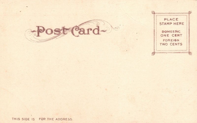 Glacier Falls Shasta Springs California CA Waterfall Vintage Postcard 1900's