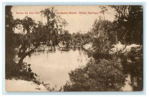 1907 Scene on the Old Suwanee River, White Springs, Florida FL Postcard 