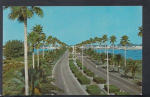 America Postcard - Memorial Causeway, Clearwater Beach, Florida   T6211