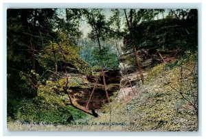 c1910 Wild Cat Canyon Starved Rock La Salle County Illinois IL Antique Postcard