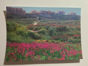 UNUSED PICTURE POSTCARD - GOZO MALTA  ZEBBUGG SINET   (KK1858)