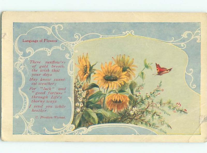 c1910 Language Of Flowers signed BUTTERFLY APPROACHES SUNFLOWERS AC4997