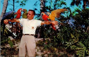 Florida Tampa Busch Gardens Rich Naegeli Bird Trainer With Beautiful Macaws