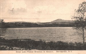 Swan Lake-Walnut Mountain Distance Stevensville New York Vintage Postcard 1907