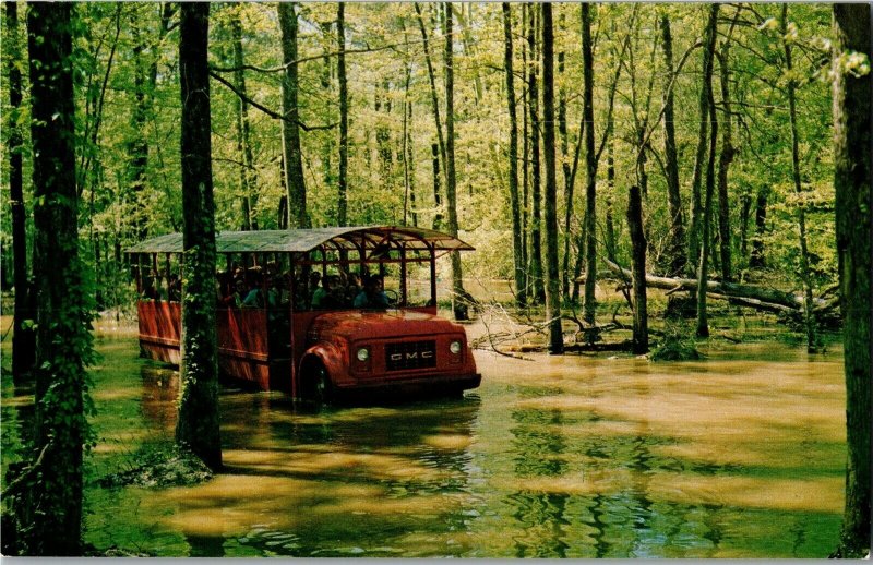 Big Thicket Tour Swamp Alabama-Coushatta Tribes Reservation TX Postcard E12