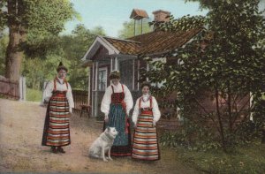 Netherlands Postcard - Three Dutch Ladies With Their Dog    T10291