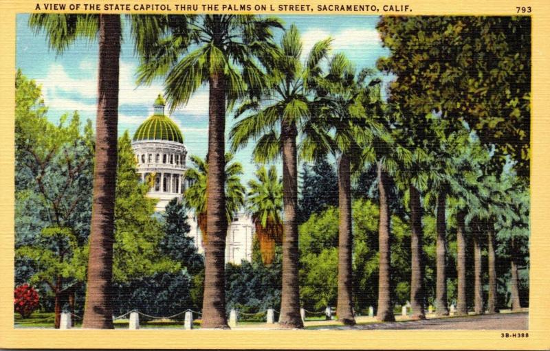 California Sacramento State Capitol Thru The Palms On L Street