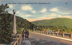 River Bridge Susquehanna River - Schickshinny, Pennsylvania PA