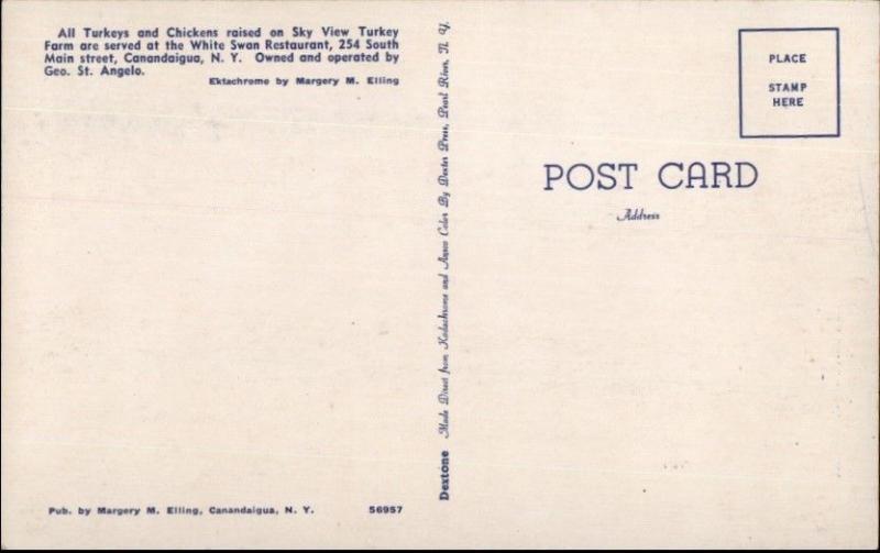 Canandaigua NY Sky View Turkey Farm Postcard