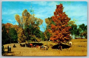 Vermont Trail Riders  - Postcard