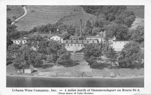 Hammondsport New York Urbana Wine Company Vineyard Birds Eye View PC AA110691