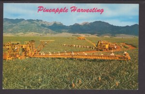 Hawaii Pineapple Harvesting Libby's modern machinery and skillful pickers