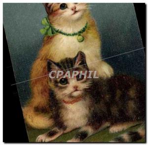 VINTAGE POSTCARD Cat Cats Kitten