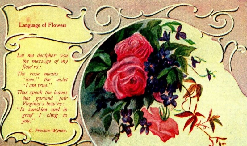 C. 1910 Home Life Chicago Language Of Flowers Preston - Wynne. Postcard F30 