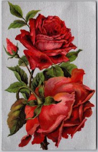 1908 Rose Flowers Large Print Greetings and Wishes Card Posted Postcard
