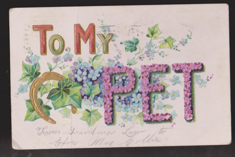 General Greetings - To My Pet Flowers - Used 1908 - Embossed