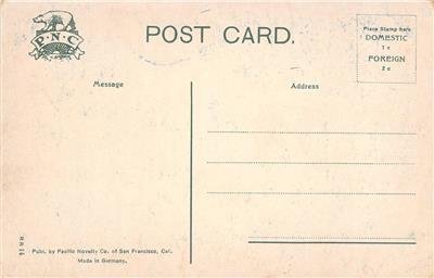 FITCH MOUNTAIN & TAVERN Russian River, CA Healdsburg c1910s Vintage Postcard 