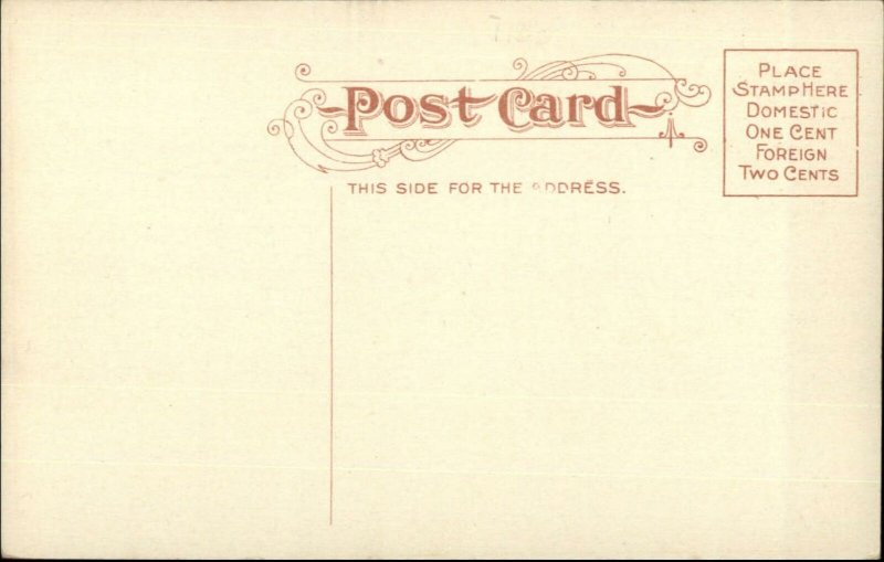 Delaware OH #1 Fire Dept Engines c1910 Postcard