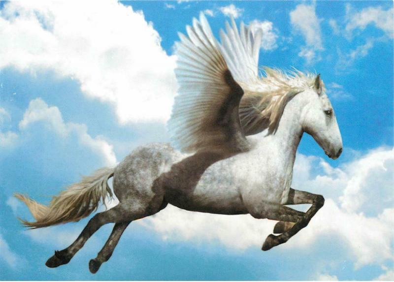 Pegasus Winged Horse Flying in the Sky Postcard