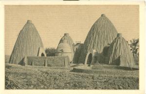 Musgugehoft aus Kamerun, Huts in Cameroun, early 1900s 