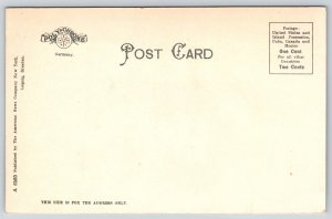 Bridge~Harrisburg Pennsylvania~Rockville Bridge~Polychrome Undivided Back