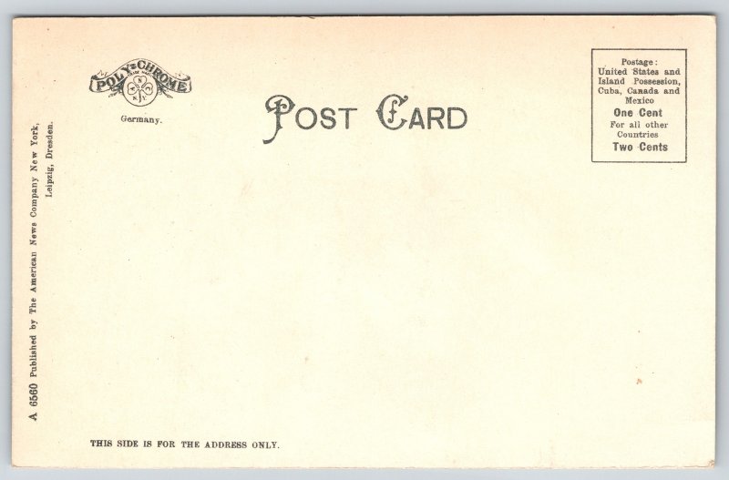 Bridge~Harrisburg Pennsylvania~Rockville Bridge~Polychrome Undivided Back