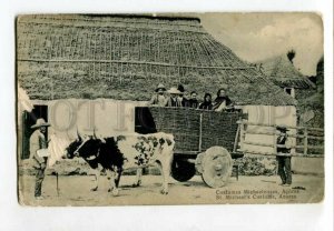 3119400 PORTUGAL St.Michael's Customs AZORES Vintage postcard