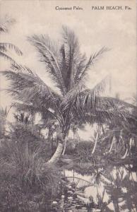 Cocoanut Palm Beach Florida Albertype