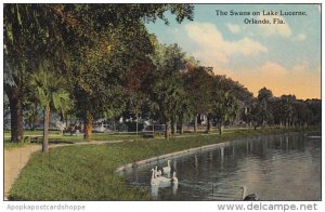 The Swans On Lake Lucerne Orlando Florida