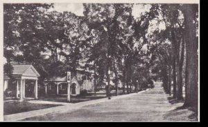 Massachusetts Amherst Boltwood Avenue From The Loard Jeffery  Albertype