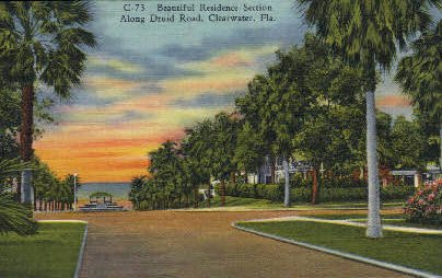 Druid Road - Clearwater, Florida FL