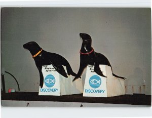 Postcard Sea Lions, New England Aquarium, Central Wharf, Boston, Massachusetts
