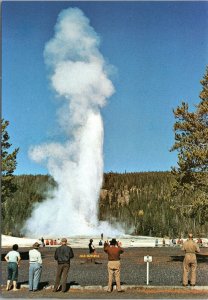 postcard Yellowstone Park WY  - Old Faithful Geyser