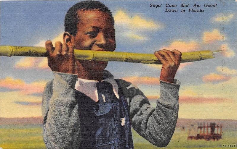 E10/ Black Americana Postcard Linen Florida Boy Sugar Cane Sho Am Good 12