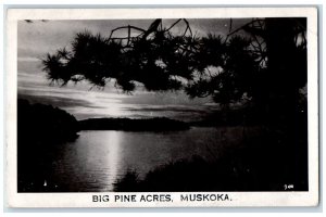 c1940's View Of Big Pine Acres Muskoka Lake Canada Vintage RPPC Photo Postcard