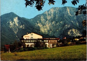 VINTAGE CONTINENTAL SIZE POSTCARD HOTEL UNTERBERGNERHOF AUSTRIA