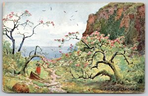 Glories Of Nature Series~An Old Orchard~Blooming~1910 TUCK Postcard 