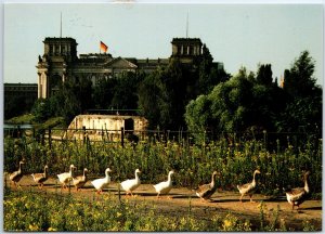 VINTAGE CONTINENTAL SIZE POSTCARD ROW OF DUCKS REICH BUILDING POST-UNITY GERMANY