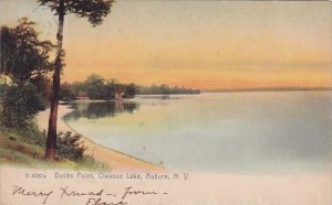 New York Auburn Buck Point Owasco Lake 1907