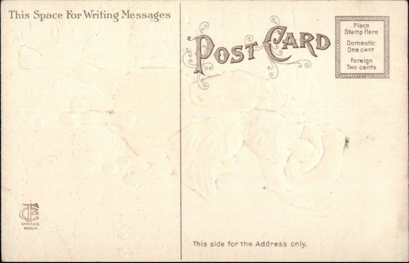 Beautiful Cowgirl Lasso Roping Riding Horse c1910 Postcard